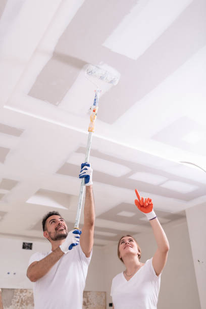 Best Water Damage & Mold Remediation  in Choctaw Lake, OH